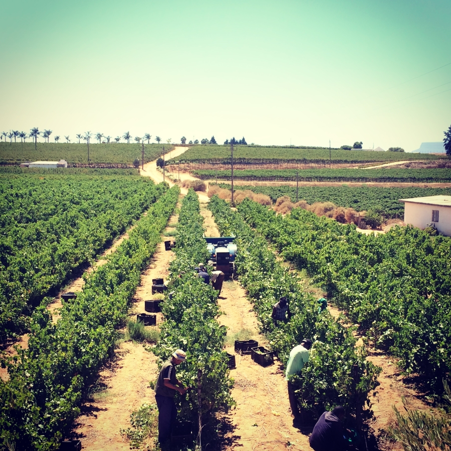 0 Bedroom Property for Sale in Vredendal Rural Western Cape